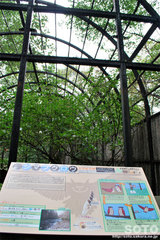 釧路市動物園(シマフクロウ檻)