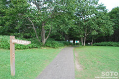 湿原探勝歩道(1)