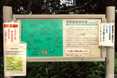 湿原探勝歩道(案内板)