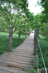 湿原探勝歩道(3)