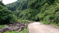 白水の滝(遊歩道)