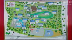 りんご公園(3)