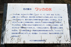 ワッカ原生花園(ワッカの水/看板)