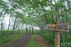 あやめヶ原(入口)