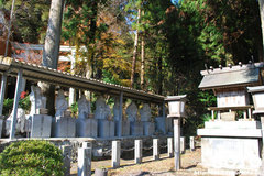 大杉(4)