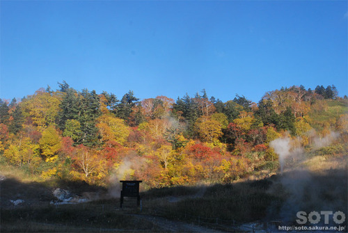 ̓̍gt2013
