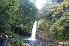 @̑iUj