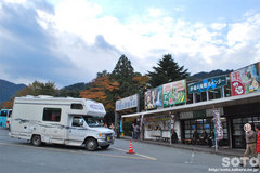 @̑iPj
