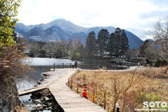 湯布院(金鱗湖1)