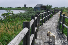 百人浜(遊歩道)