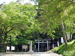 iPj