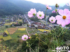 白川郷(城山天守閣展望台から2005)