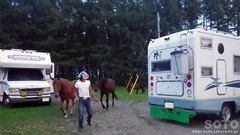 Northpole stable(2)