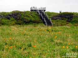 富士野園地(09)