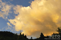 黄色く染まった雲(1)