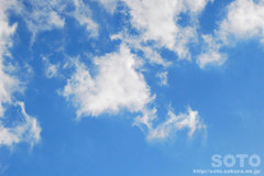 2011/11/22̍ʉ_iQj