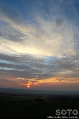 夕陽(1)