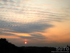 [zi20111228-3j