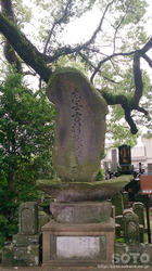 妙蓮寺(4)