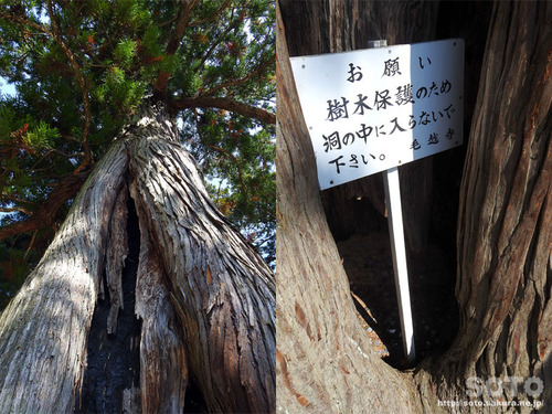 毛越寺(07)