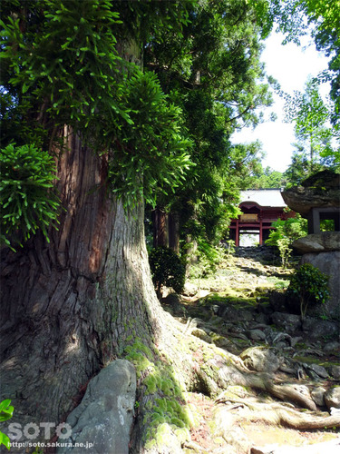 永泉寺(2)