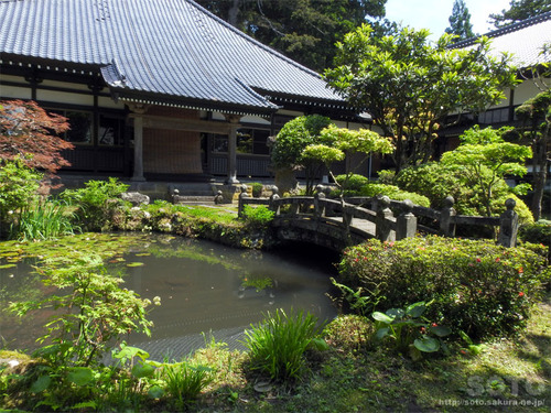 永泉寺(5)