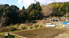 雲巌禅寺(遠景)