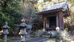雲巌禅寺(観音堂)
