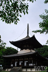 根来寺(2)
