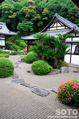 根来寺(庭園)