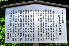 本道寺口之宮(4)