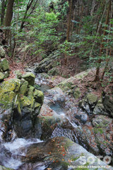荒滝(1)