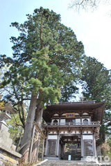 RiOj