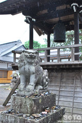 常堅寺(鐘楼と狛犬)