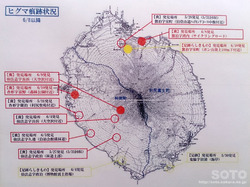 利尻島 ヒグマ情報
