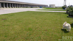 北防波堤ドーム公園