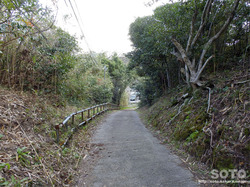 白兎神社から住宅地へ