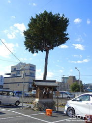 秩父神社参道の町並み(02)