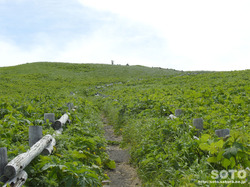 桃岩登山口(06)