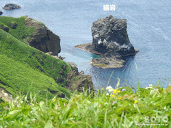 桃岩登山口(10)