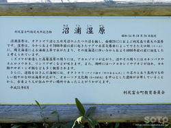 オタトマリ沼(06)