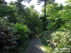 歴史の森 散策路