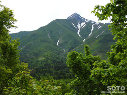 ポン山(利尻富士)