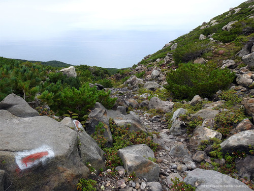 硫黄山(登山道4)