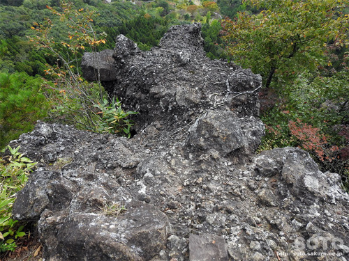 霊山(11)