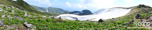 鳥海山(17)