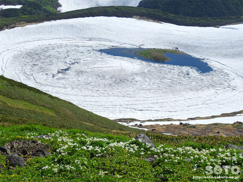 鳥海山(19)