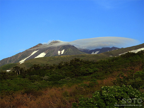 鳥海山(24)