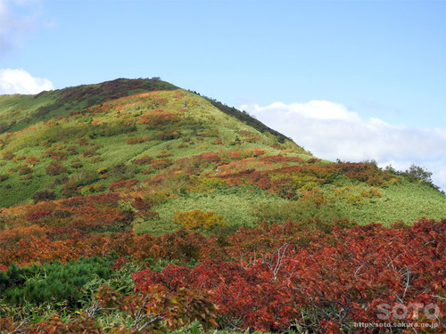 三ツ石山(10)