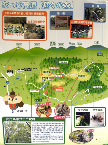 遊々の森(マップ)